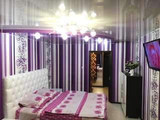 Апартаменты Apartment na Belskogo Минск Апартаменты-18